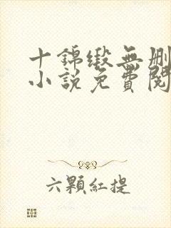 十锦缎无删原著小说免费阅读