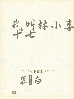 我叫林小喜今年十七