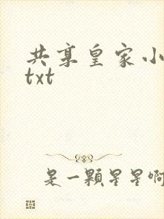 共享皇家小公主txt