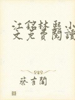 江铭林熙小说全文免费阅读