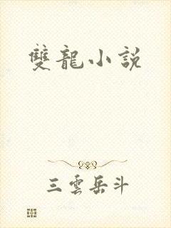 双龙小说