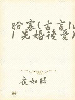 盼寡(古言1v1 先婚后爱)