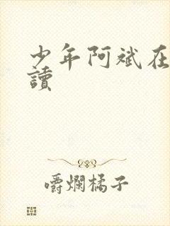 少年阿斌在线阅读