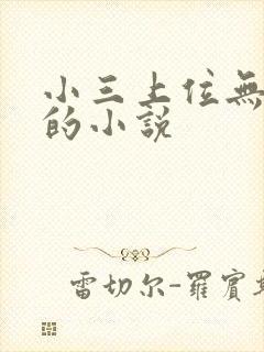 小三上位无三观的小说