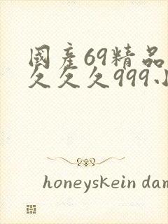 国产69精品久久久久999小说