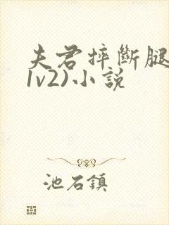 夫君摔断腿后(1v2)小说