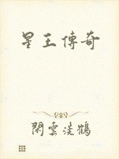 星王传奇