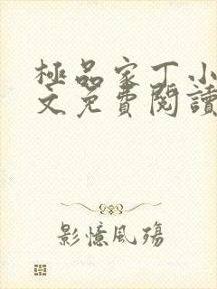 极品家丁小说全文免费阅读