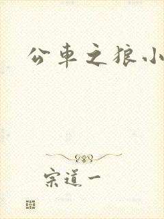 公车之狼小说