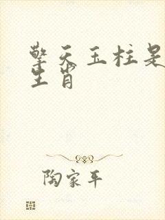 擎天玉柱是什么生肖