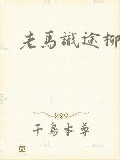 老马识途柳娇娇