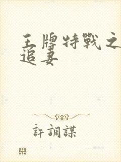 王牌特战之军少追妻