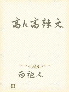 高h高辣文