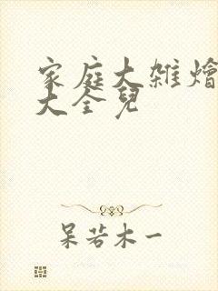 家庭大杂烩小说大全儿