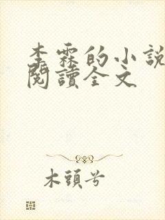 李霖的小说免费阅读全文