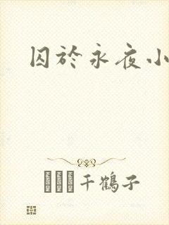 囚于永夜小说