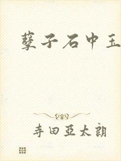 孽子石中玉