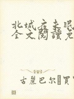 北城夜未眠小说全文阅读免费