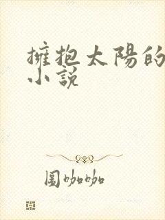 拥抱太阳的月亮小说