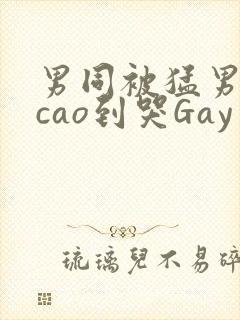 男同被猛男房东cao到哭Gay