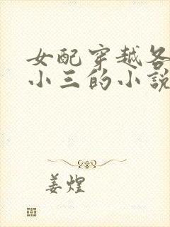 女配穿越各个做小三的小说