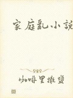 家庭乱小说