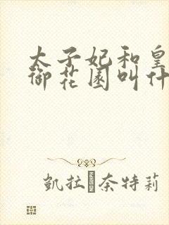 太子妃和皇帝在御花园叫什么小说