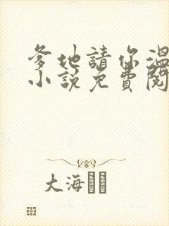 爹地请你温柔点小说免费阅读