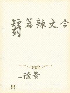 短篇辣文合集系列