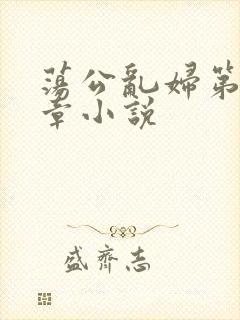 荡公乱妇第51章小说