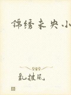 锦绣未央小说