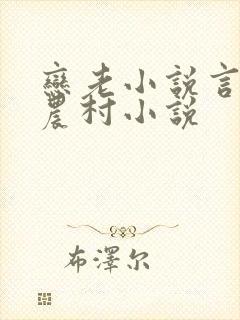 恋老小说言情网农村小说