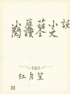 小蘑菇小说免费阅读全文