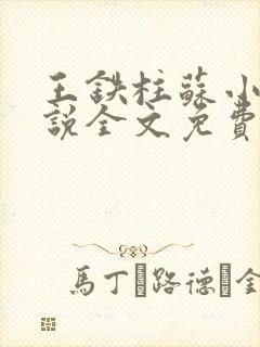 王铁柱苏小汐小说全文免费阅读最新章节