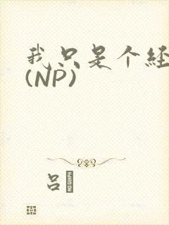 我只是个经纪人(NP)