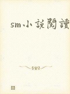 sm小说阅读