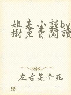 姐夫小说by野树免费阅读全文