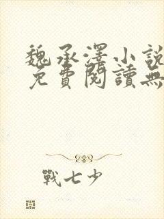 魏承泽小说全文免费阅读无弹窗笔趣