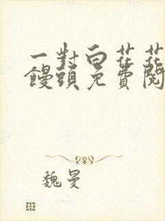 一对白花花的大馒头免费阅读