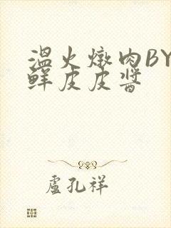 温火炖肉BY海鲜皮皮酱