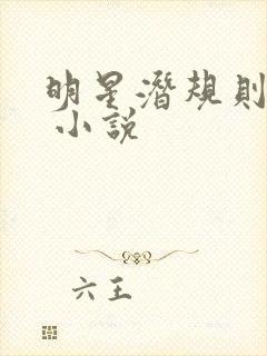 明星潜规则之皇 小说