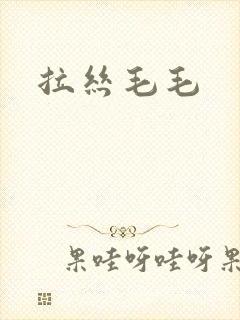 拉丝毛毛