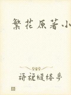 繁花原著小说
