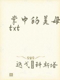 掌中的美母版主txt