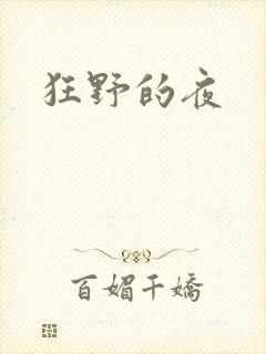 狂野的夜