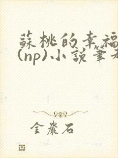 苏桃的幸福生活(np)小说笔趣阁沐沐