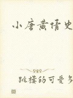小唐黄倩史