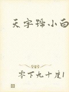 天字号小白脸