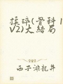 揉碎(骨科 1V2)大结局