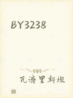 BY3238